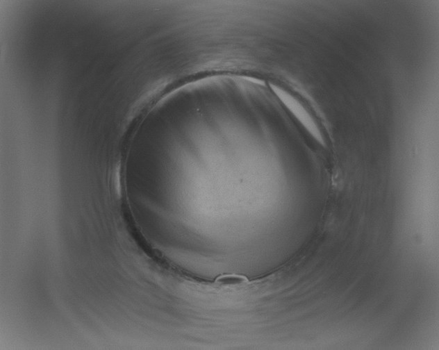 X0000054360019200508121526
