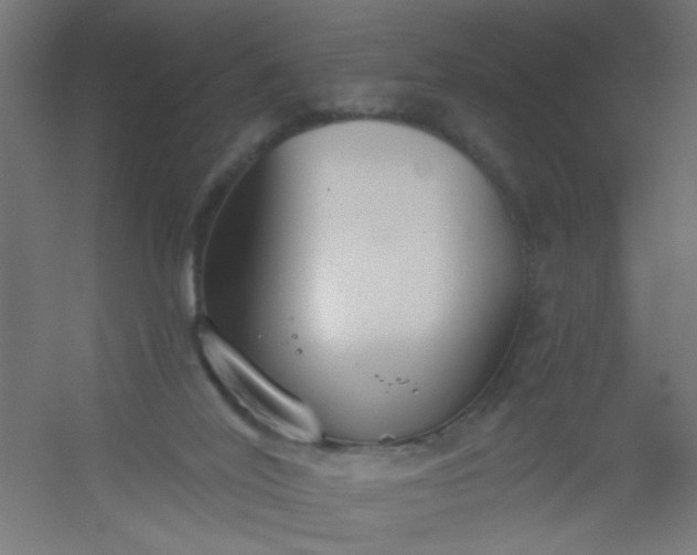 X0000054360020200508121526
