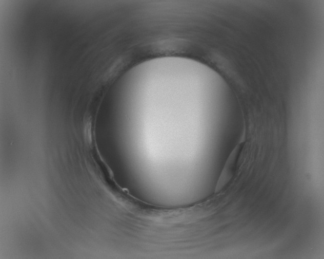 X0000054360021200508121526