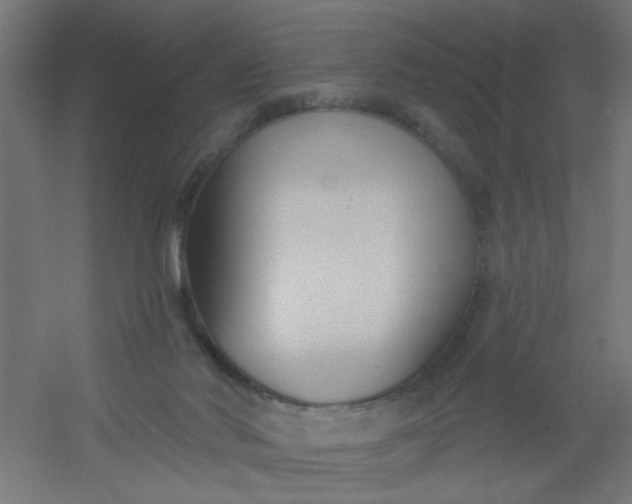 X0000054360022200508121526