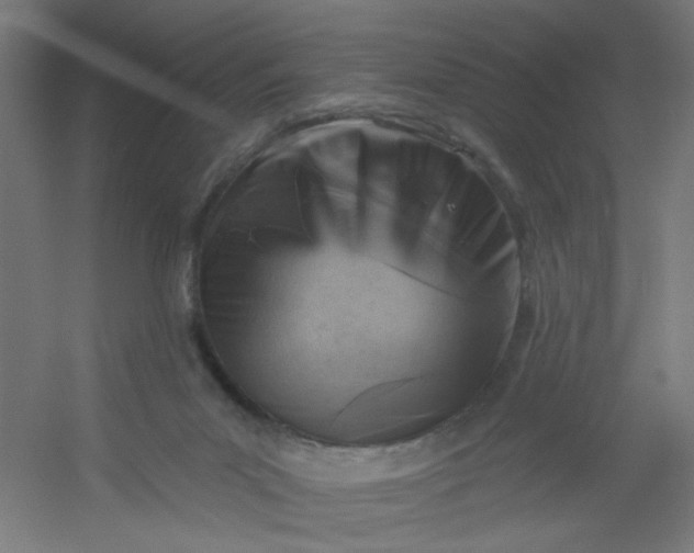 X0000054360023200508121526