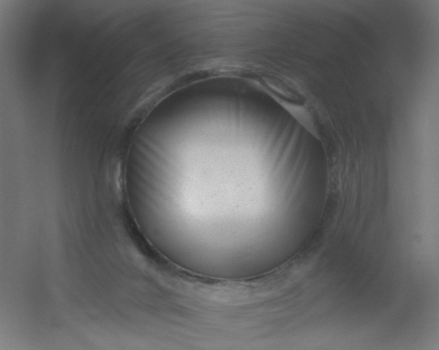 X0000054360024200508121526