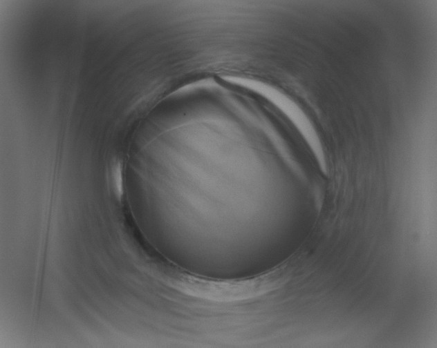 X0000054360027200508121526
