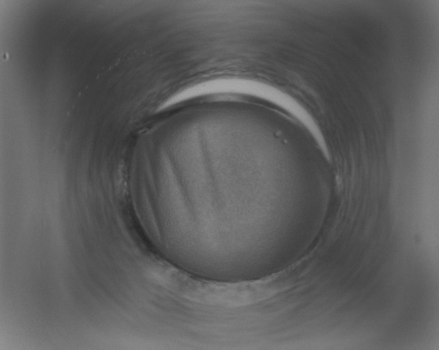 X0000054360029200508121526
