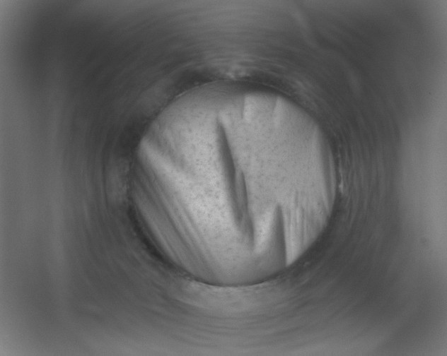 X0000054360030200508121526