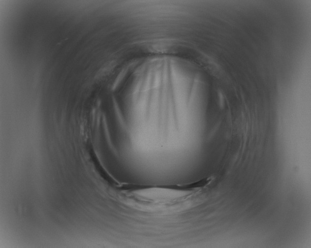 X0000054360031200508121526