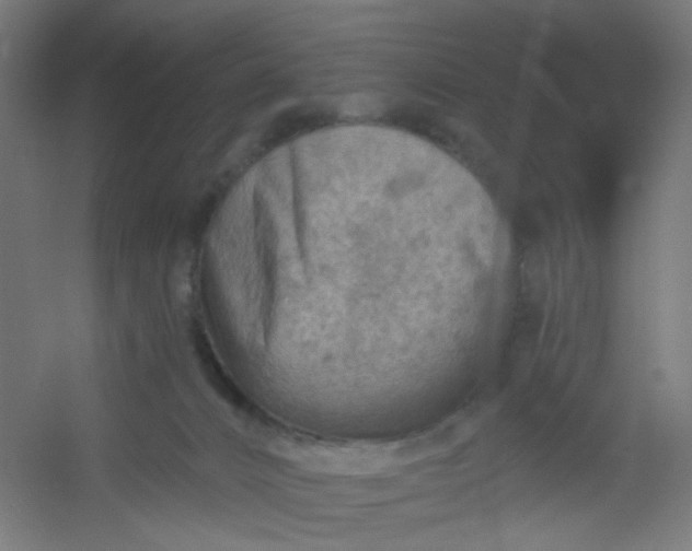 X0000054360032200508121526