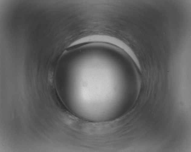 X0000054360033200508121526