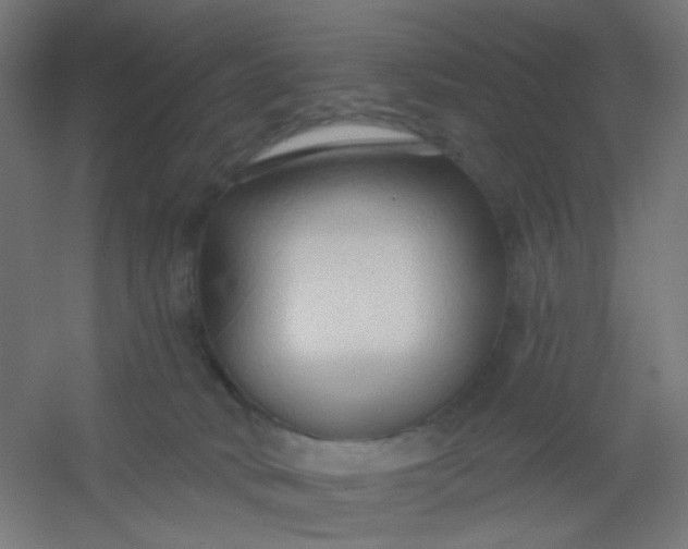 X0000054360034200508121526