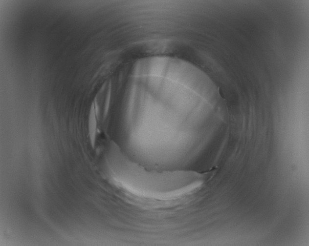 X0000054360035200508121525