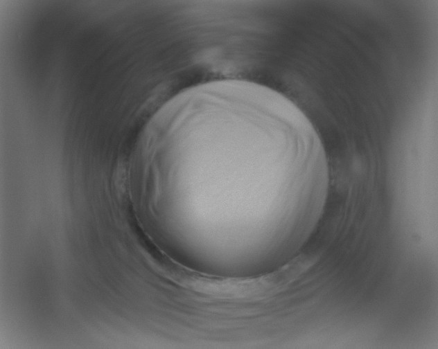 X0000054360036200508121525