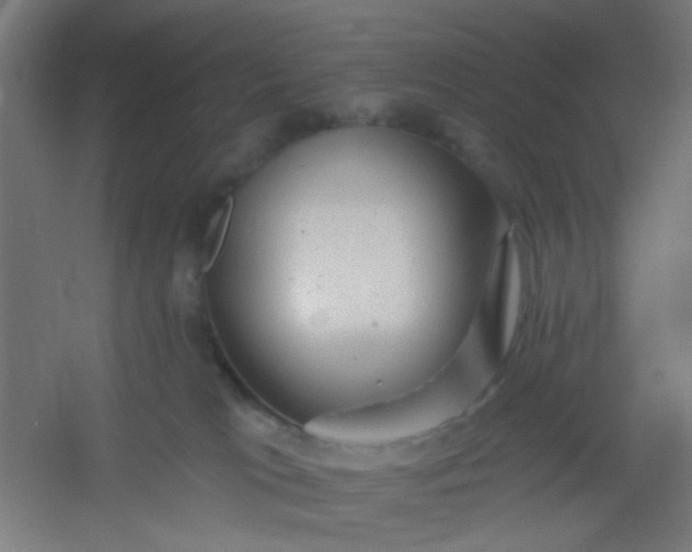 X0000054360037200508121525