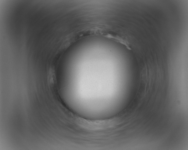 X0000054360038200508121525
