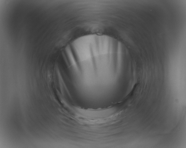 X0000054360039200508121525