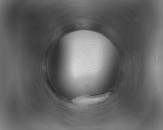 X0000054360040200508121525