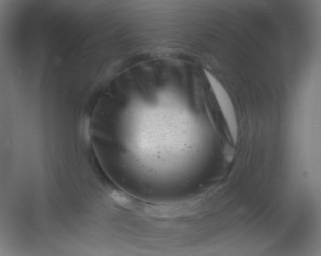 X0000054360041200508121525