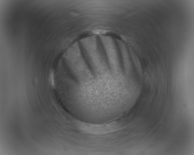 X0000054360042200508121525