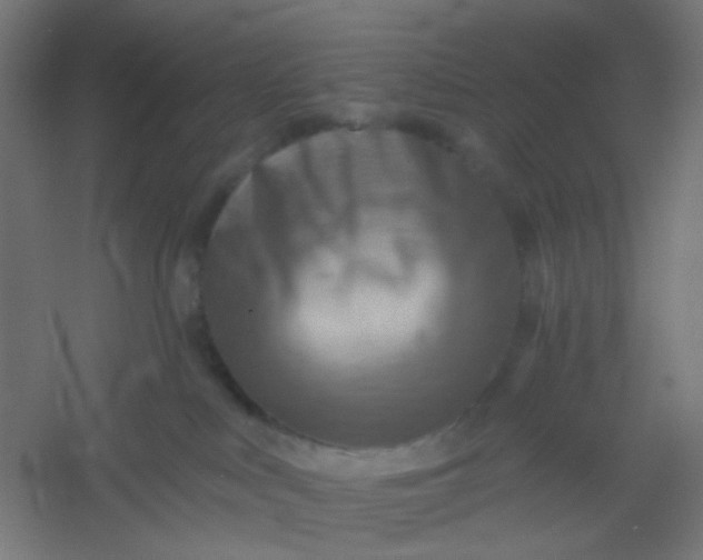 X0000054360043200508121525