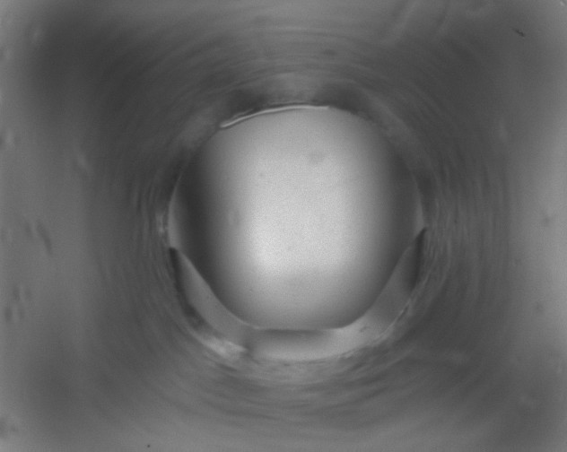 X0000054360045200508121525