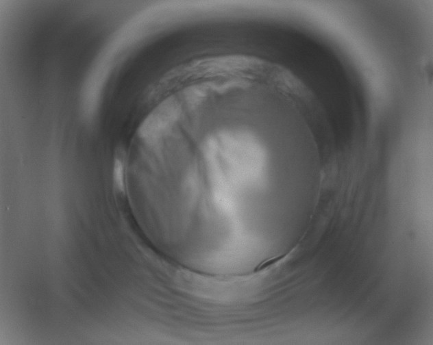 X0000054360047200508121525