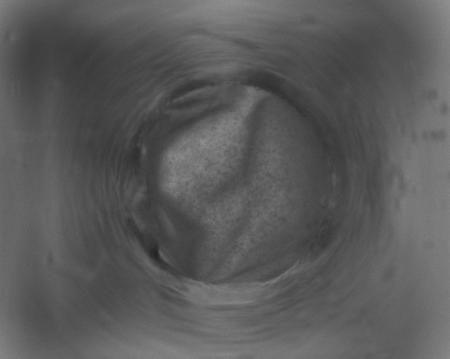 X0000054360048200508121525