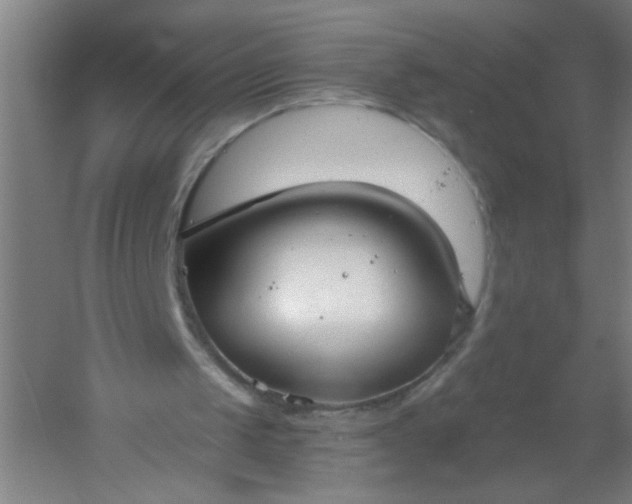 X0000054360049200508121524