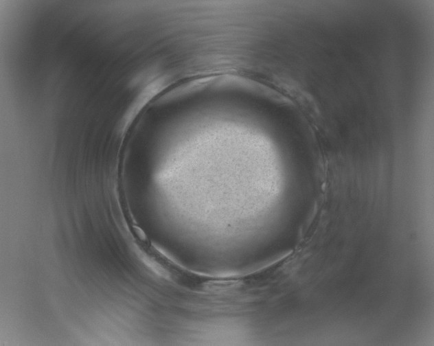 X0000054360051200508121524