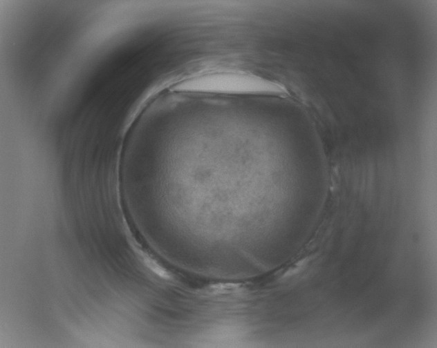 X0000054360052200508121524