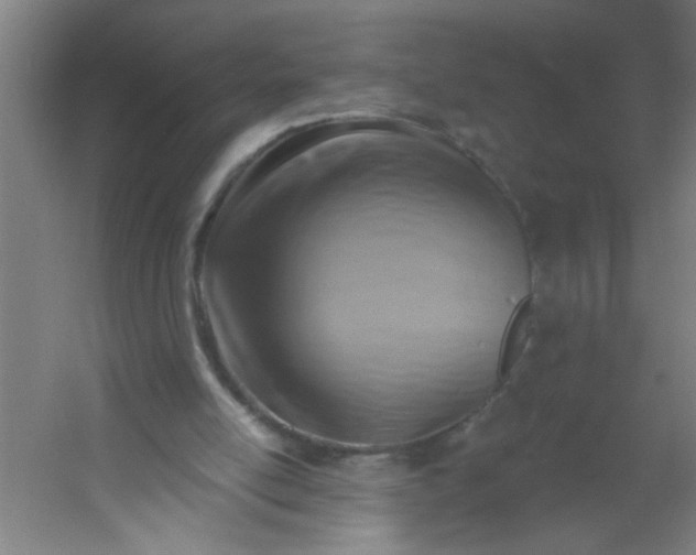 X0000054360054200508121525