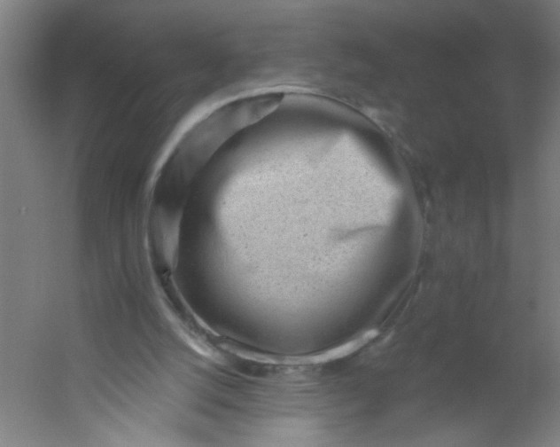 X0000054360056200508121525