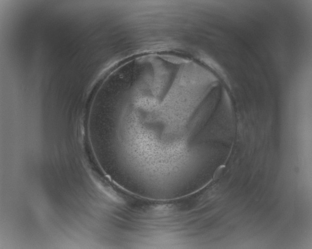 X0000054360059200508121525