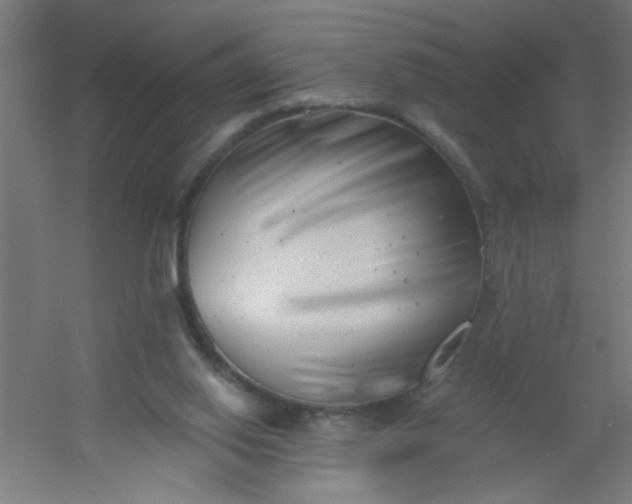 X0000054360062200508121525
