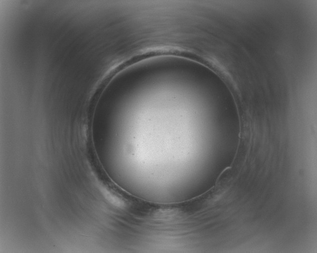 X0000054360063200508121525