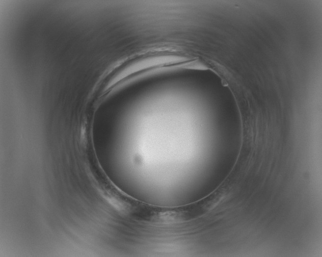 X0000054360064200508121525