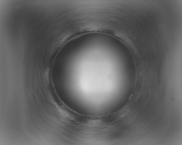X0000054360066200508121525