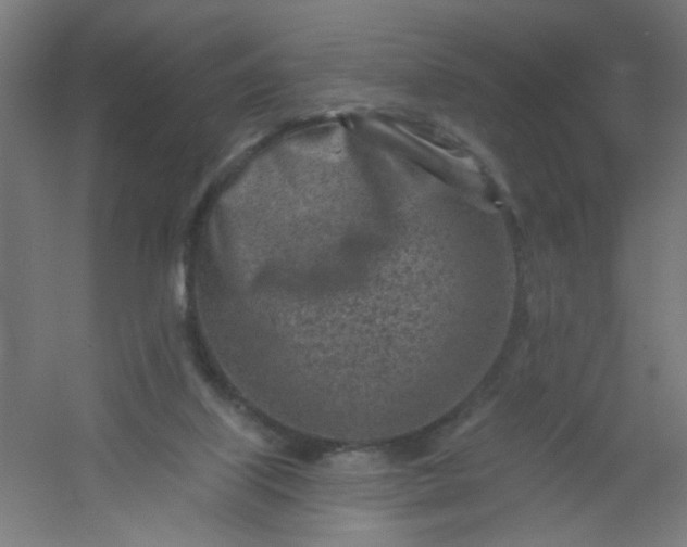 X0000054360067200508121525