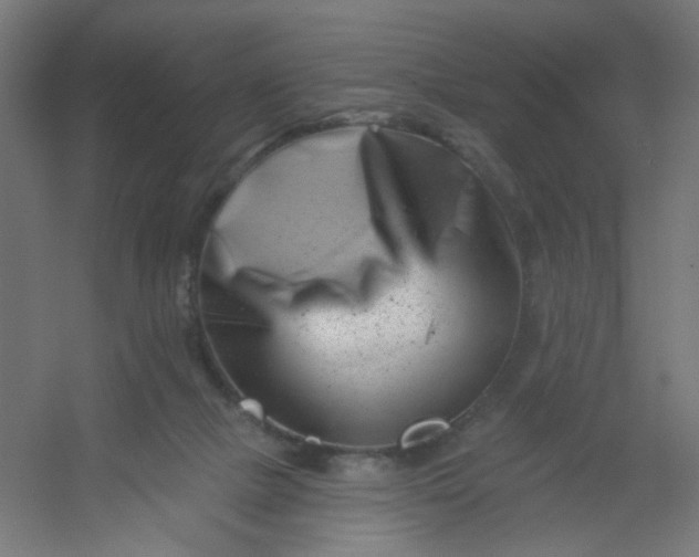 X0000054360073200508121525