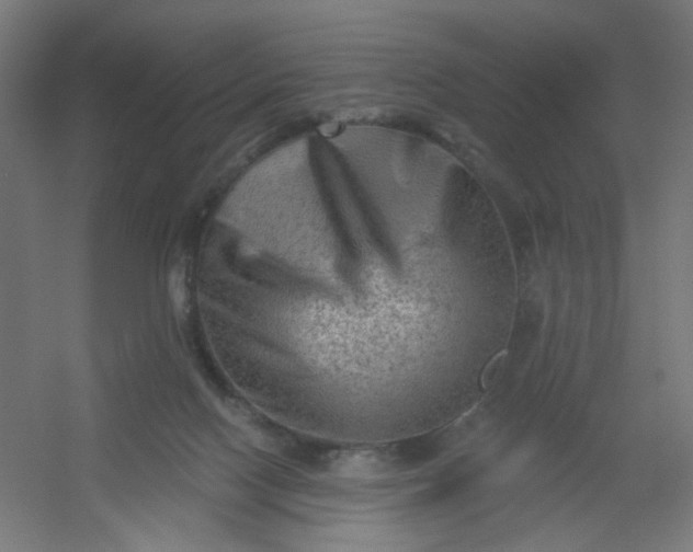 X0000054360074200508121525