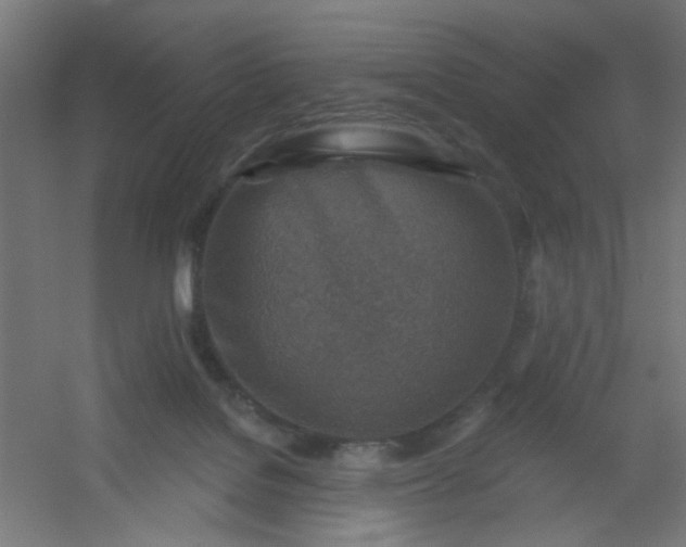 X0000054360076200508121525