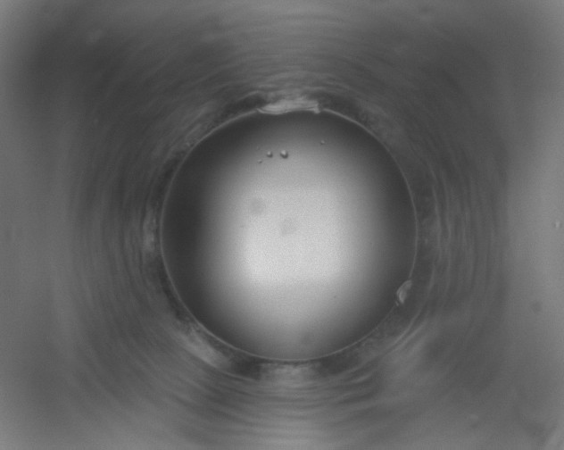 X0000054360081200508121525