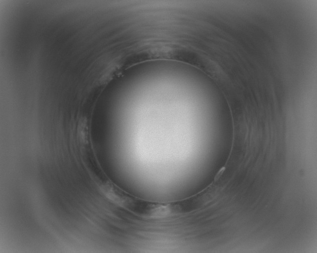 X0000054360083200508121525