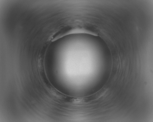 X0000054360088200508121525