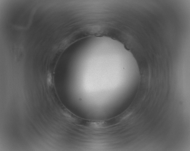 X0000054360089200508121525