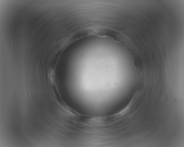 X0000054360094200508121525