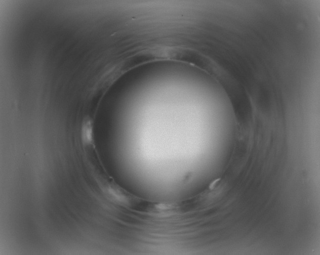 X0000054360095200508121525