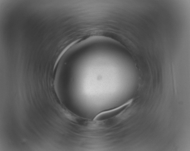 X0000054360096200508121525