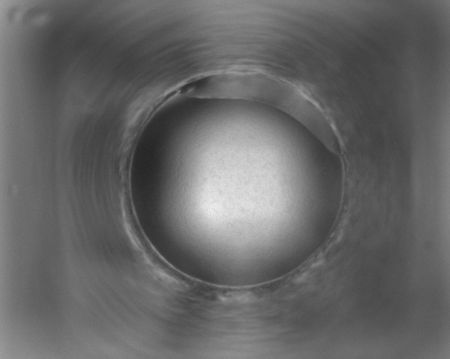 X0000054360097200508121524
