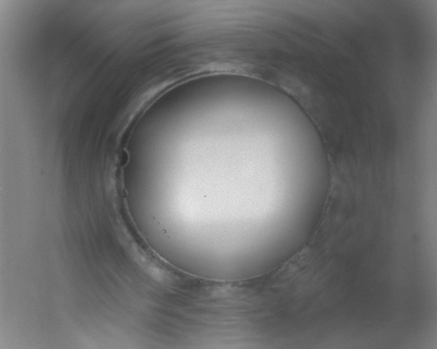 X0000054360098200508121524