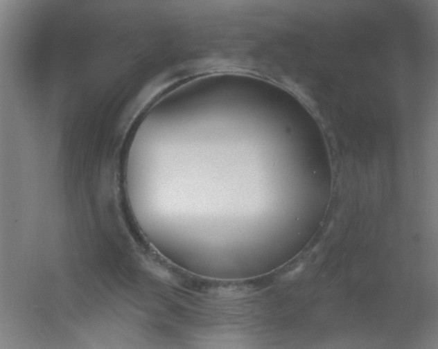 X0000054360103200508121524