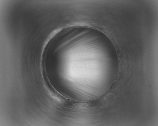 X0000054360104200508121524